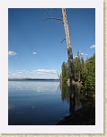 Wyoming2008 447 * Yellowstone Lake from Grant Village CG * Yellowstone Lake from Grant Village CG * 2112 x 2816 * (2.35MB)